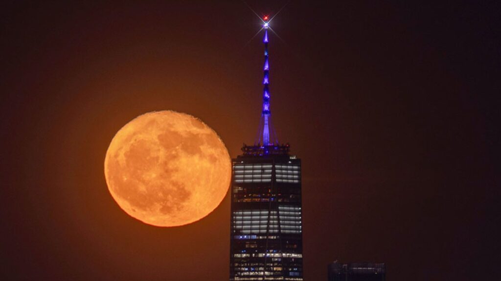 flower moon